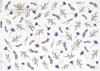 flores, acianos, lavanda, perovskia, pequeños elementos*Blumen, Kornblumen, Lavendel, Perovskia, kleine Elemente*цветы, васильки, лаванда, перовская, мелкие элементы